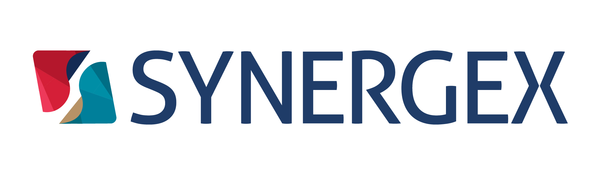 Synergex Synergex Logo