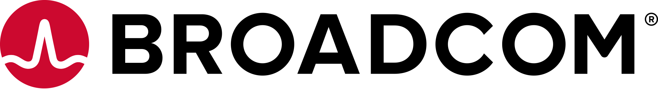 Computer Associates (now Broadcom) Logo