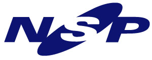 NEW SYSTEM PROVIDER CO., LTD. Logo